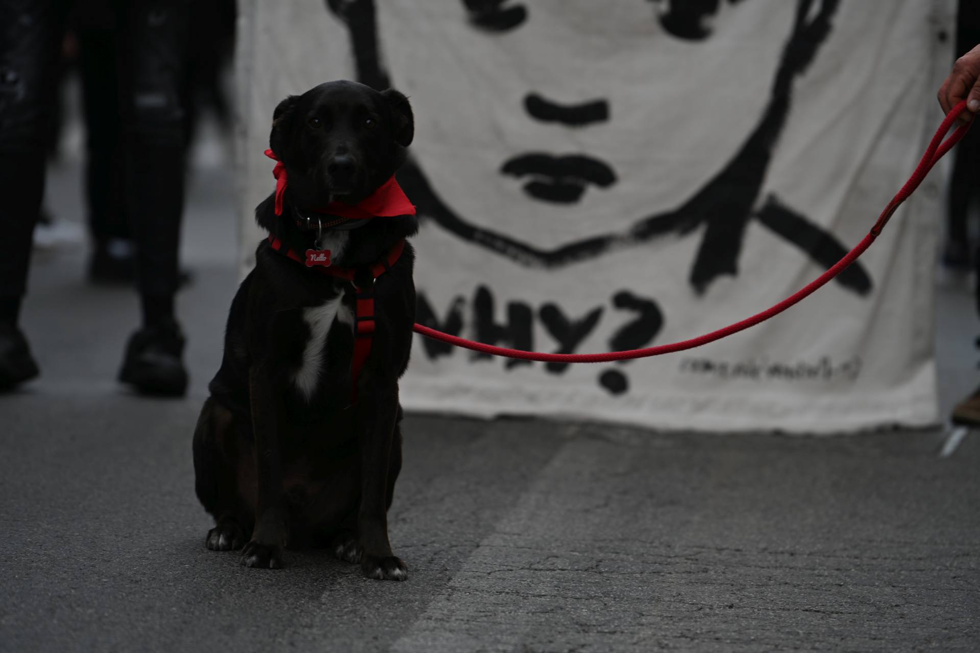 La crociata dei bambini, un corteo silenzioso per le strade di Ostia